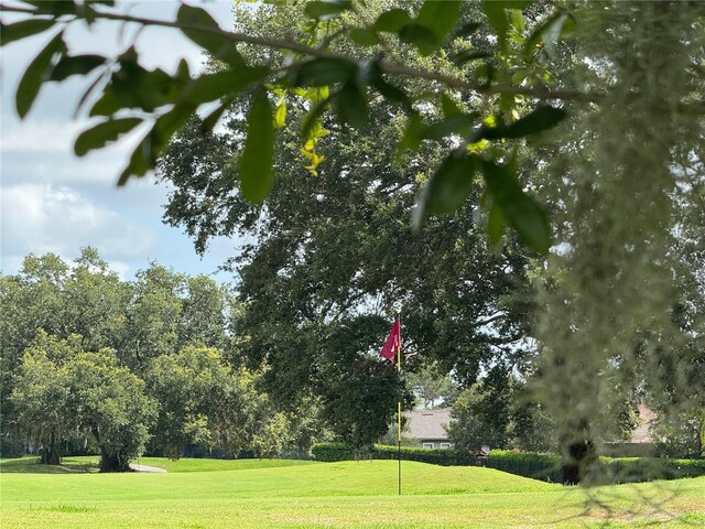 25863 Crossings Bluff Ln, Sorrento, FL 32776 - surrounding community with a yard