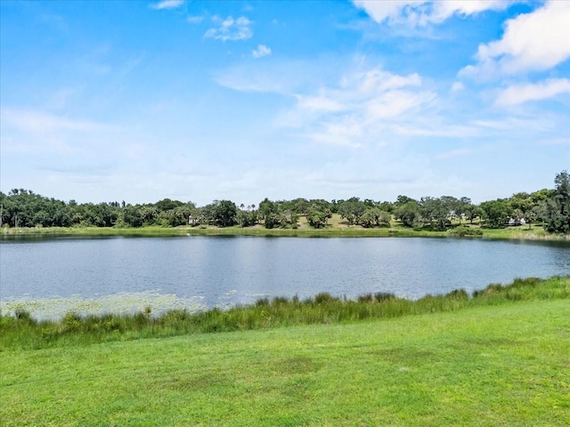 452 Lake Suzanne Dr, Lake Wales, FL 33859 - photo 38