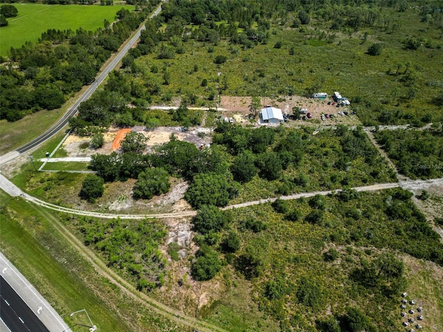 0 Tiger Lake Rd, Lake Wales, FL 33898 - photo 3