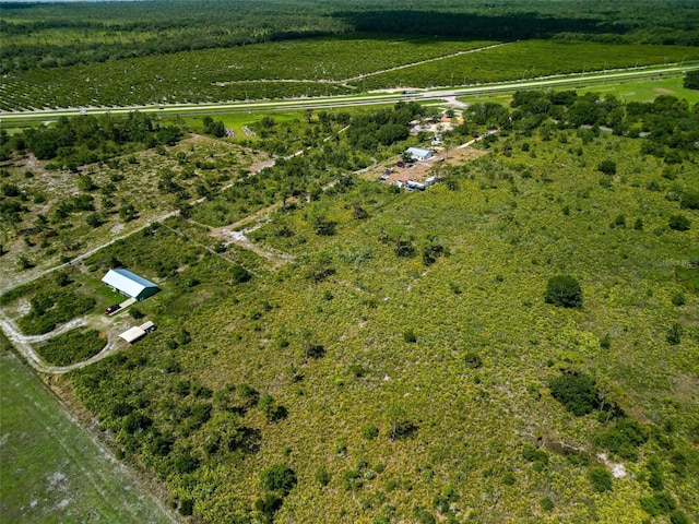 0 Tiger Lake Rd, Lake Wales, FL 33898 - photo 6