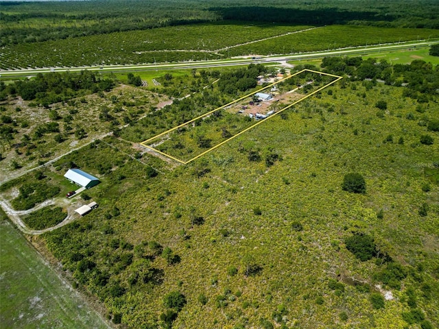 0 Tiger Lake Rd, Lake Wales, FL 33898 - photo 7