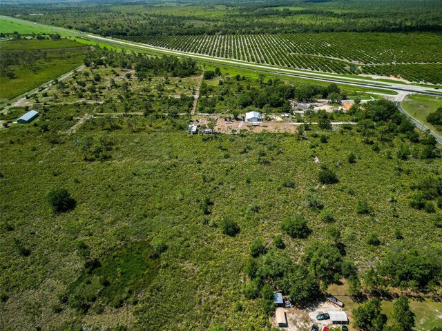 0 Tiger Lake Rd, Lake Wales, FL 33898 - photo 8