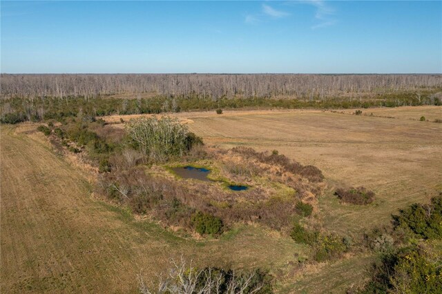 601 Diamond Acres Rd, Davenport, FL 33837 - photo 5