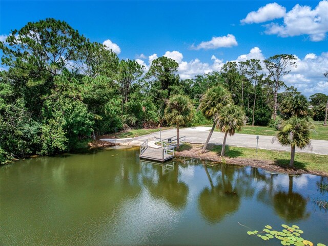 127 Blue Moon Ave, Lake Placid, FL 33852 - photo 36