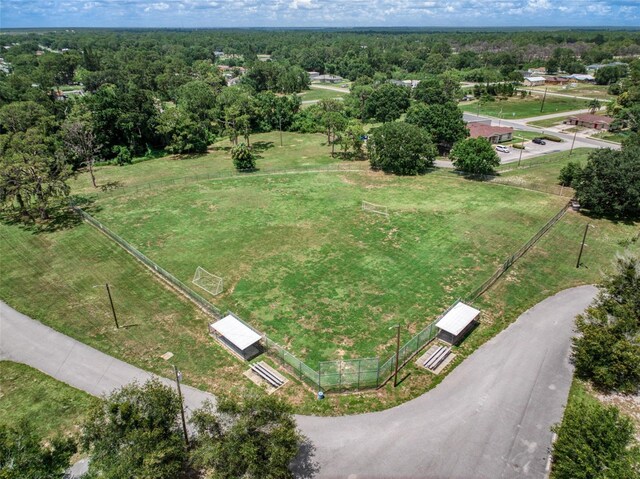 127 Blue Moon Ave, Lake Placid, FL 33852 - photo 39
