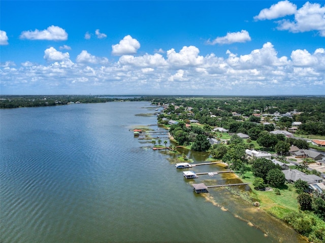 127 Blue Moon Ave, Lake Placid, FL 33852 - photo 41