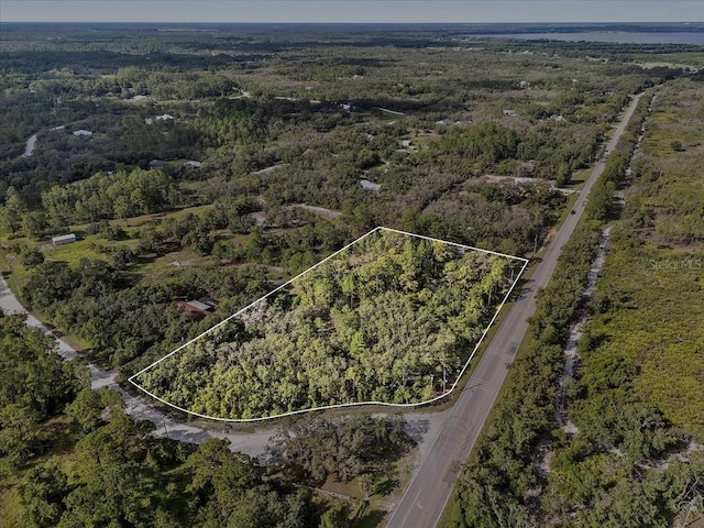 Blue Jordan Rd, Frostproof, FL 33843 - photo 1