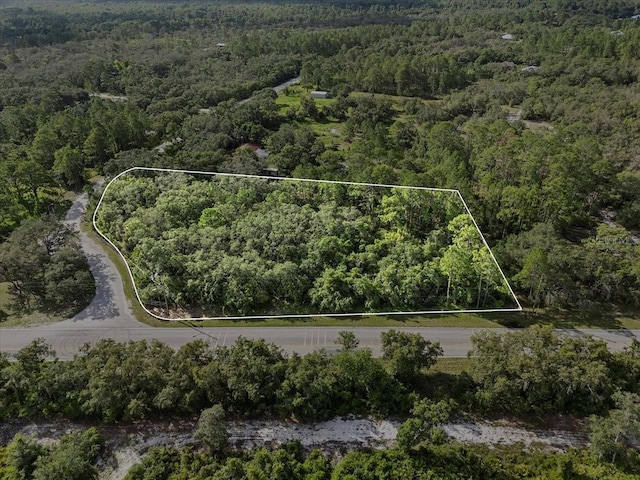 Blue Jordan Rd, Frostproof, FL 33843 - photo 3