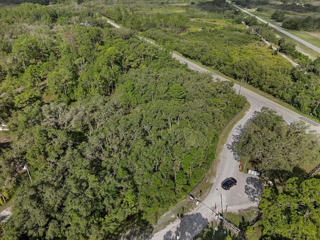 Blue Jordan Rd, Frostproof, FL 33843 - photo 9