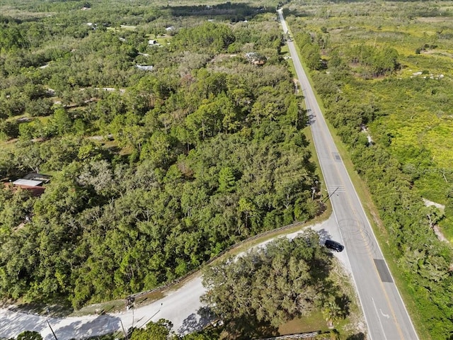 Blue Jordan Rd, Frostproof, FL 33843 - photo 10