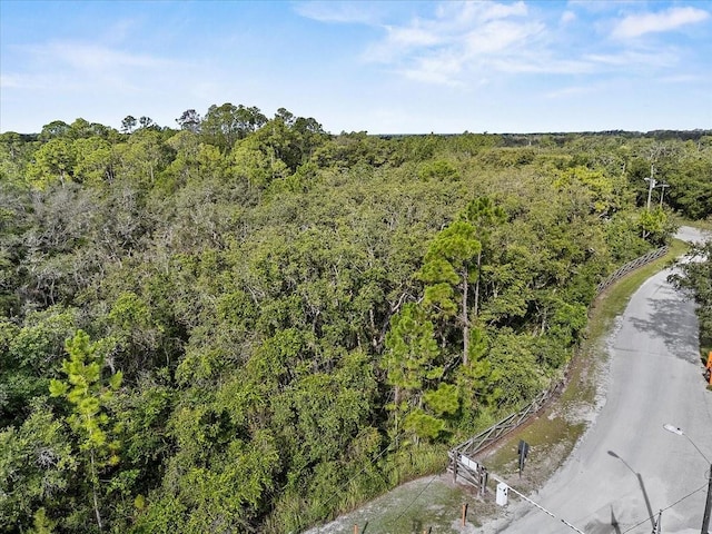 Blue Jordan Rd, Frostproof, FL 33843 - photo 11