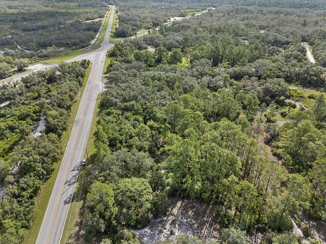 Blue Jordan Rd, Frostproof, FL 33843 - photo 13