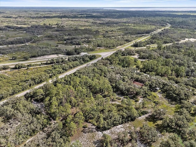Blue Jordan Rd, Frostproof, FL 33843 - photo 15