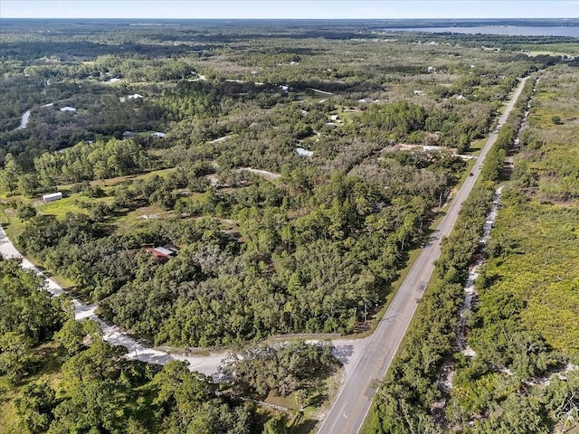 Blue Jordan Rd, Frostproof, FL 33843 - photo 17