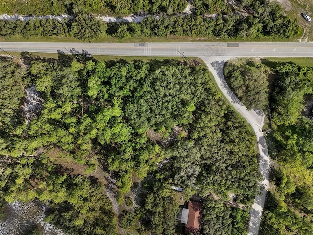 Blue Jordan Rd, Frostproof, FL 33843 - photo 19
