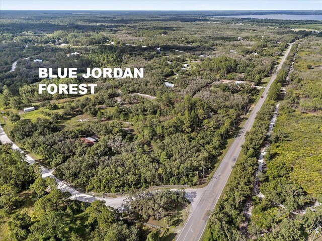 Blue Jordan Rd, Frostproof, FL 33843 - photo 4