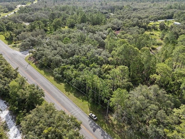 Blue Jordan Rd, Frostproof, FL 33843 - photo 8