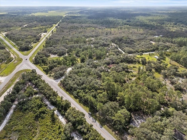 Blue Jordan Rd, Frostproof, FL 33843 - photo 16