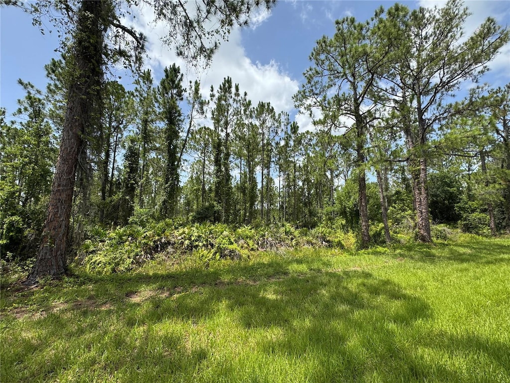 Hwy 630 E, Frostproof, FL 33843 - photo 1