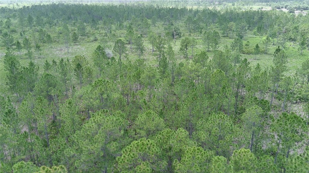 Hwy 630 E, Frostproof, FL 33843 - photo 2