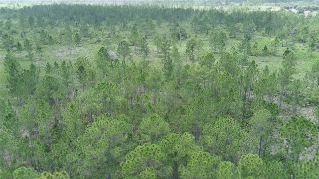 Hwy 630 E, Frostproof, FL 33843 - photo 2