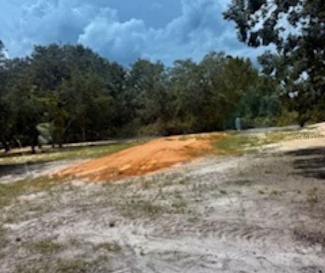 50 Tiger Lake Rd, Lake Wales, FL 33898 - photo 7