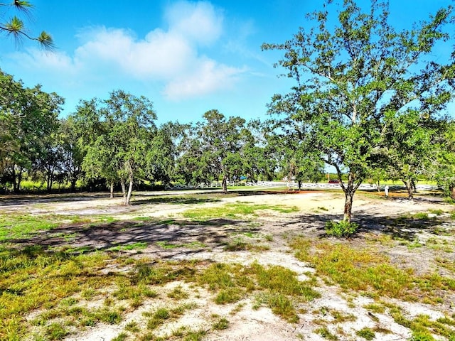 50 Tiger Lake Rd, Lake Wales, FL 33898 - photo 5