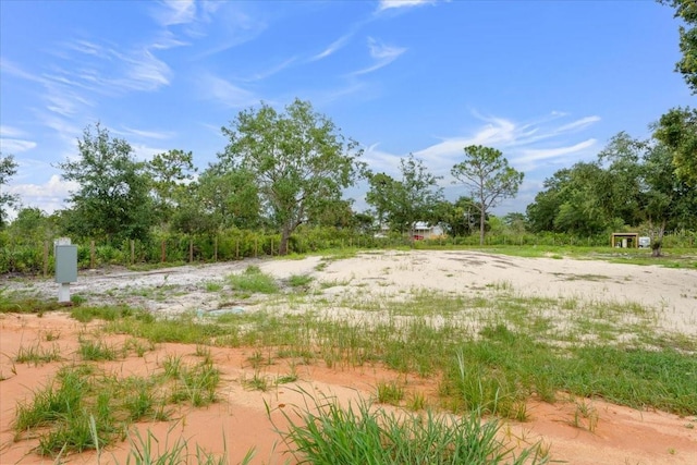 50 Tiger Lake Rd, Lake Wales, FL 33898 - photo 3
