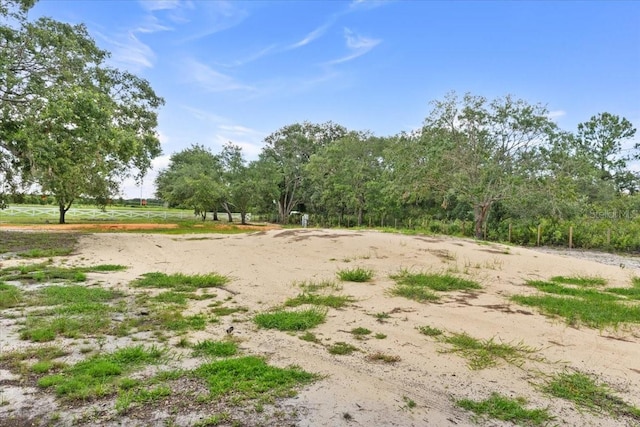 50 Tiger Lake Rd, Lake Wales, FL 33898 - photo 4
