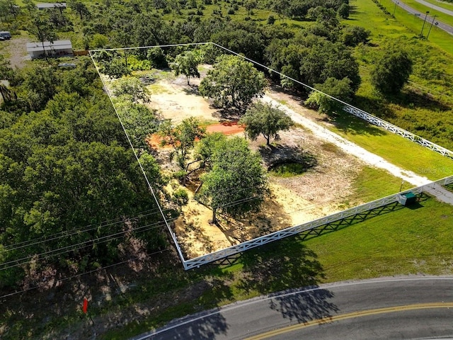 50 Tiger Lake Rd, Lake Wales, FL 33898 - photo 10