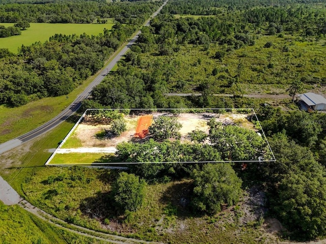 50 Tiger Lake Rd, Lake Wales, FL 33898 - photo 11
