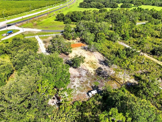 50 Tiger Lake Rd, Lake Wales, FL 33898 - photo 12