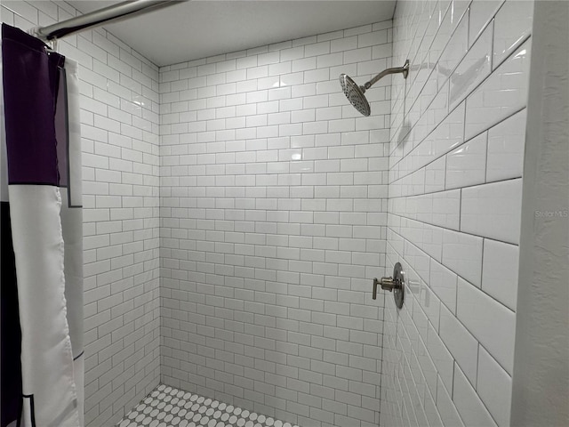 1736 3rd St NE, Winter Haven, FL 33881 - bathroom with a stall shower