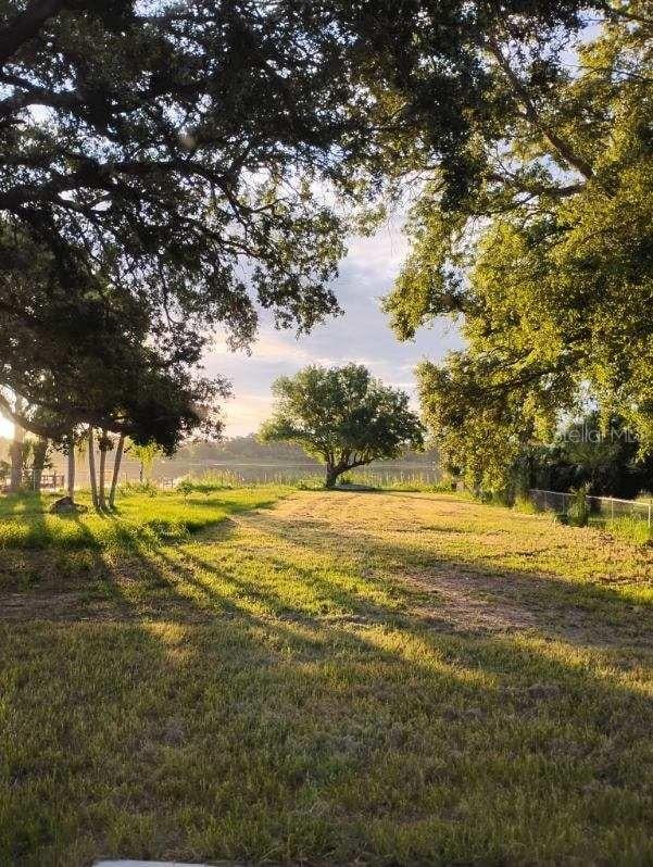 1736 3rd St NE, Winter Haven, FL 33881 - view of yard