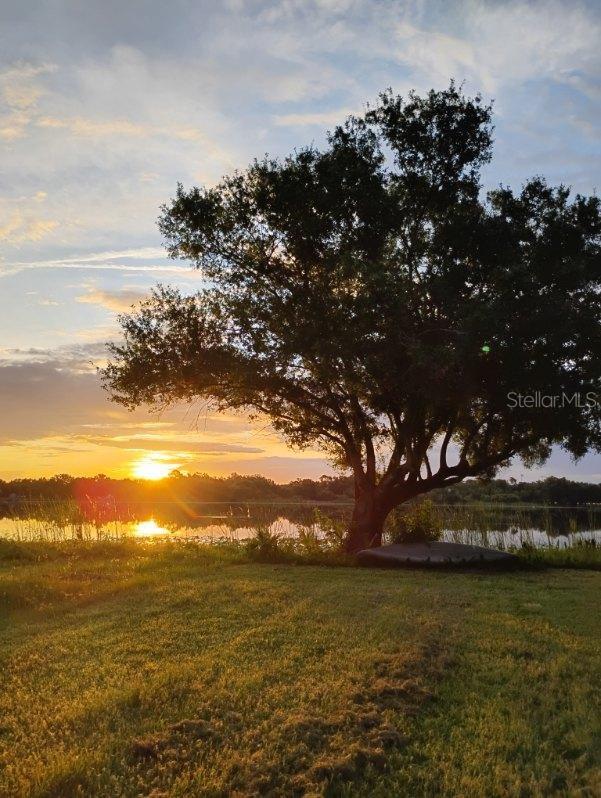 1736 3rd St NE, Winter Haven, FL 33881 - water view