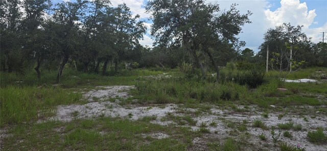 0 Woodville St, Lake Wales, FL 33853 - photo 3