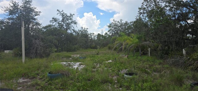 0 Woodville St, Lake Wales, FL 33853 - photo 4