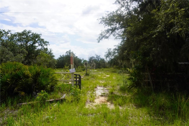 0 Woodville St, Lake Wales, FL 33853 - photo 6