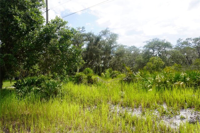 0 Woodville St, Lake Wales, FL 33853 - photo 7