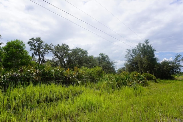 0 Woodville St, Lake Wales, FL 33853 - photo 8