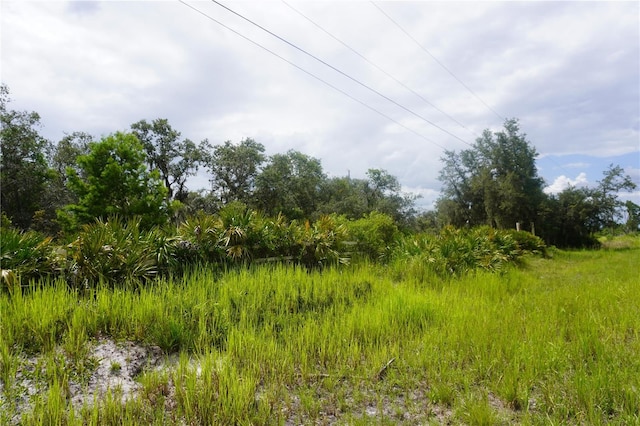 0 Woodville St, Lake Wales, FL 33853 - photo 13