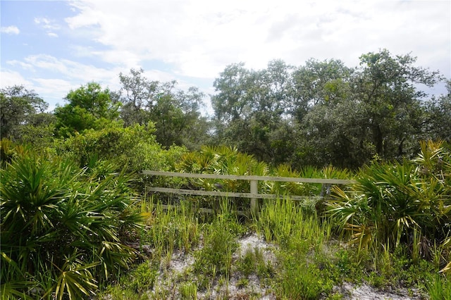 0 Woodville St, Lake Wales, FL 33853 - photo 15