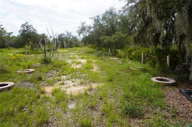 0 Woodville St, Lake Wales, FL 33853 - photo 22
