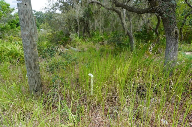 0 Woodville St, Lake Wales, FL 33853 - photo 24