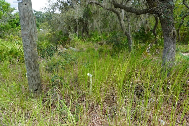 0 Woodville St, Lake Wales, FL 33853 - photo 25