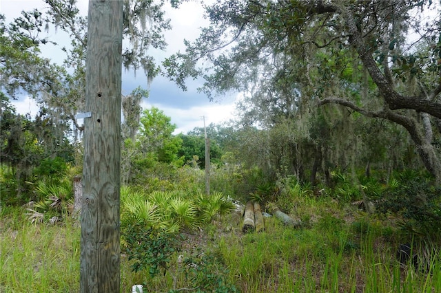 0 Woodville St, Lake Wales, FL 33853 - photo 26