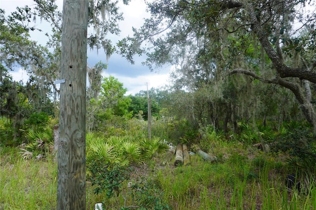 0 Woodville St, Lake Wales, FL 33853 - photo 27