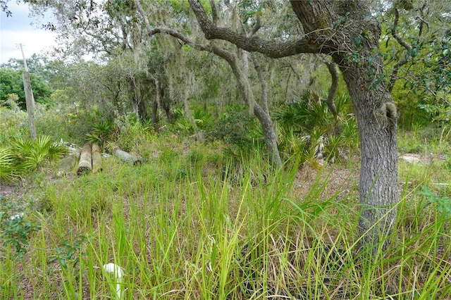 0 Woodville St, Lake Wales, FL 33853 - photo 28