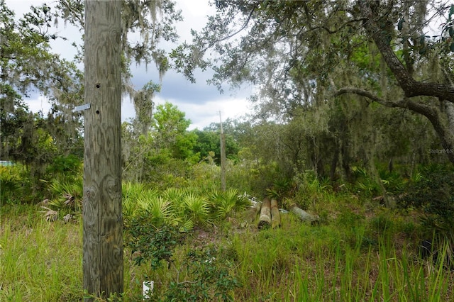 0 Woodville St, Lake Wales, FL 33853 - photo 30