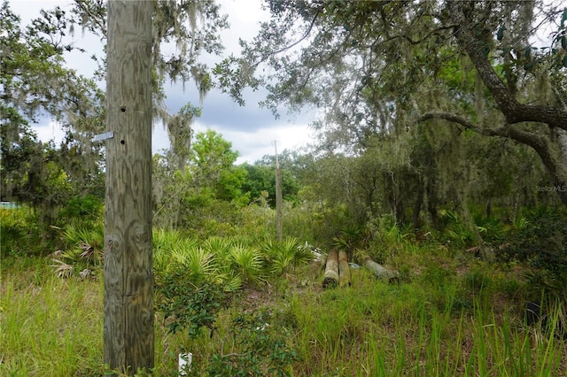 0 Woodville St, Lake Wales, FL 33853 - photo 31
